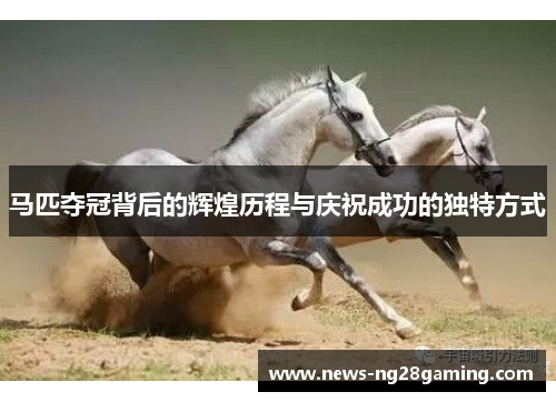 马匹夺冠背后的辉煌历程与庆祝成功的独特方式
