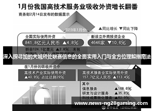 深入探寻加的夫城所处联赛信息的全面实用入门与全方位理解指南法