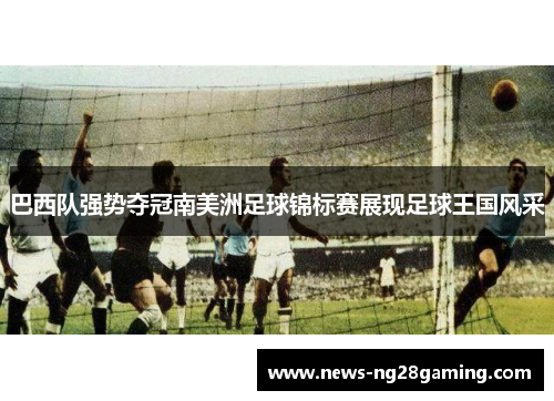 巴西队强势夺冠南美洲足球锦标赛展现足球王国风采